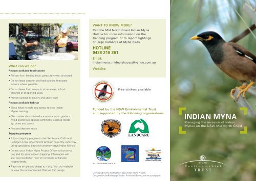 Indian Myna Bird Pamphlet - Coffs Harbour City Council