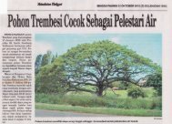 Pohon Trembesi Cocok untuk Pelestari Air