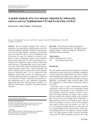 A genetic analysis of in vivo selenate reduction by Salmonella ...