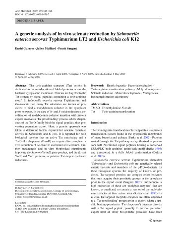 A genetic analysis of in vivo selenate reduction by Salmonella ...