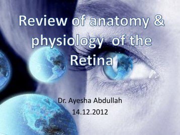Review of anatomy & physiology of the Retina