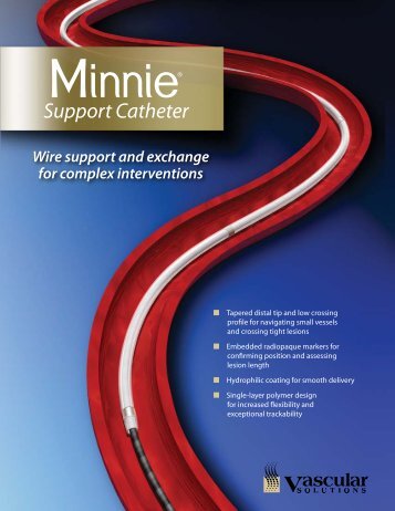 Wire support and exchange for complex interventions - Vascular ...