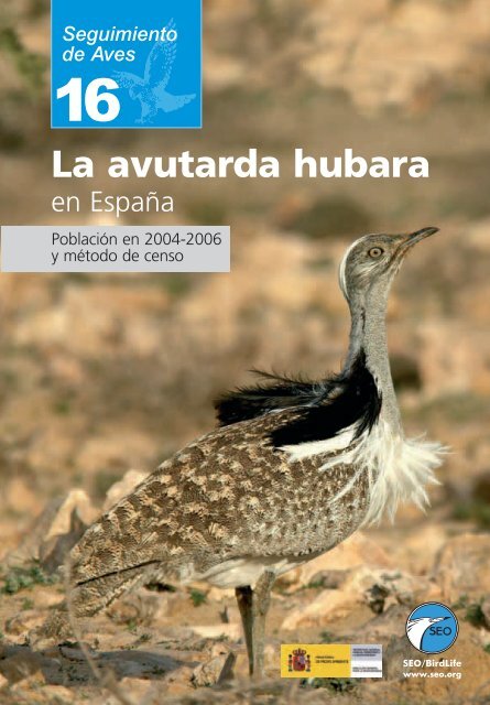 La avutarda hubara - SEO/BirdLife