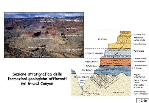 Datazione isotopica - UniversitÃ  degli Studi di Firenze