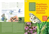 Papillons et plantes, une belle histoire d'amour - La maison de l ...