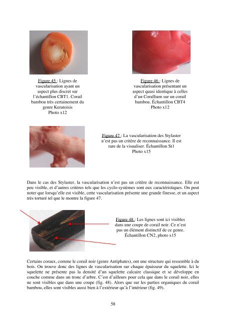 Etude gemmologique et spectroscopique des coraux ... - GemNantes