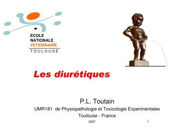 Les diurÃ©tiques - Physiologie ENVT