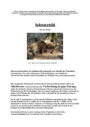 Schwarzwild - bei der BJV Kreisgruppe Obernburg