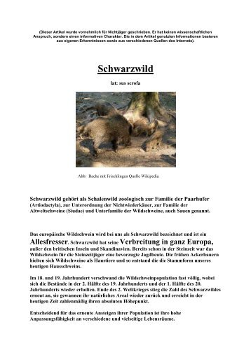 Schwarzwild - bei der BJV Kreisgruppe Obernburg