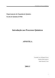 IntroduÃ§Ã£o aos Processos QuÃ­micos - Escola de QuÃ­mica / UFRJ