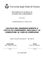 CAPITOLO 1 - Università degli Studi di Ferrara