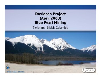 Davidson Project (April 2008) Blue Pearl Mining - Minerals North