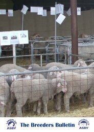 The Breeders Bulletin - Sheep Genetics