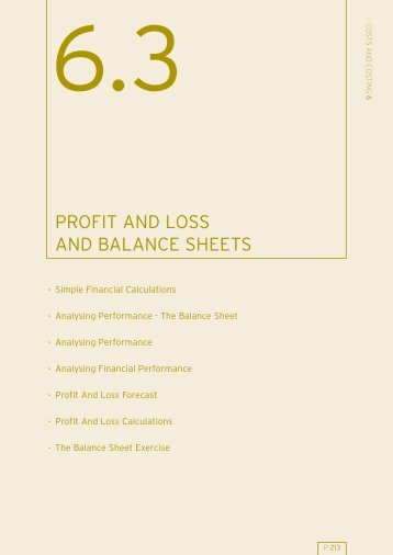 6.3 Profit And Loss And Balance Sheets - Social Enterprise Solutions