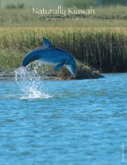 Naturally Kiawah - Kiawah Conservancy