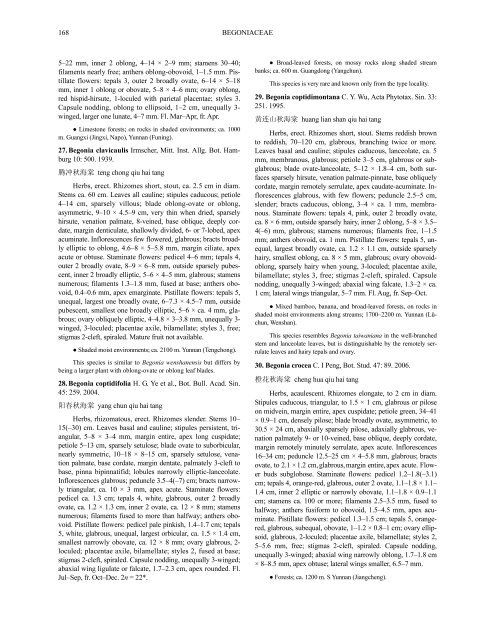 BEGONIACEAE 1. BEGONIA Linnaeus, Sp. Pl. 2: 1056. 1753.