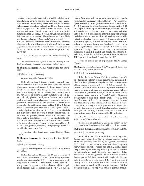 BEGONIACEAE 1. BEGONIA Linnaeus, Sp. Pl. 2: 1056. 1753.