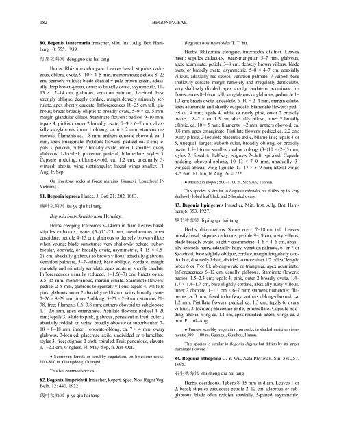 BEGONIACEAE 1. BEGONIA Linnaeus, Sp. Pl. 2: 1056. 1753.