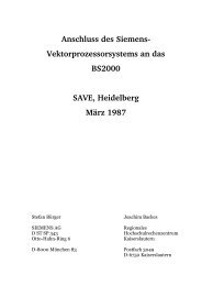 Anschluss des Siemens-Vektorprozessorsystems an das BS2000