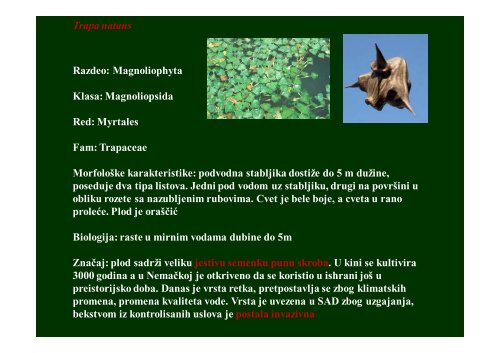 Hidrobiologija 5 - Raka Web