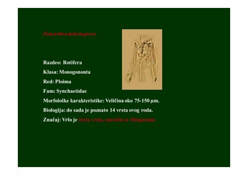 Hidrobiologija 5 - Raka Web