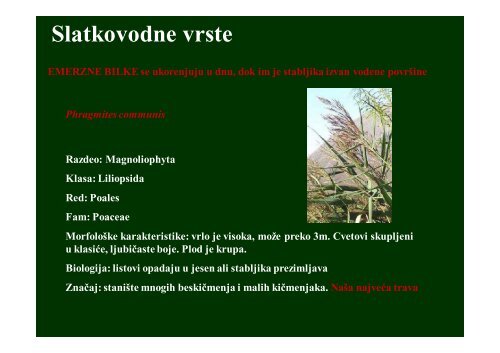 Hidrobiologija 5 - Raka Web