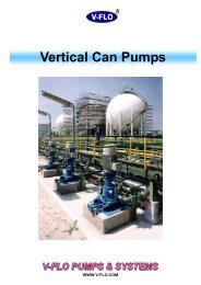 TTMC Vertical Can Pumps - V-FLO