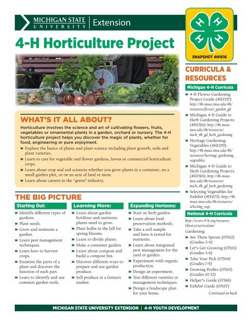 https://img.yumpu.com/34327641/1/500x640/michigan-4-h-horticulture-project-snapshot-4h1616.jpg