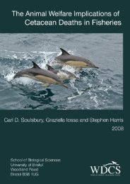 The Animal Welfare Implications of Cetacean Deaths in Fisheries
