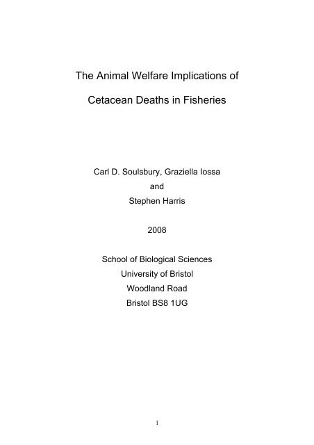 The Animal Welfare Implications of Cetacean Deaths in Fisheries