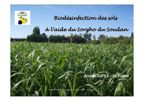 BiodÃ©sinfection des sols Ã  l'aide du Sorgho du Soudan - La PugÃ¨re