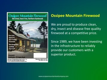 Ossipee Mountain Firewood - Ossipee Mountain Land Company