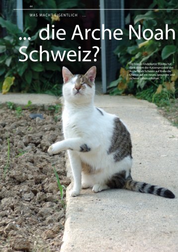 PDF ansehen - Arche Noah Schweiz