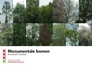 Monumentale bomen - Stadsdeel Zuidoost - Gemeente Amsterdam