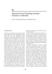 Selective Forces Propelling Genitalic Evolution in Odonata