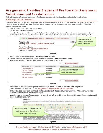 experience in teach essay grammar
