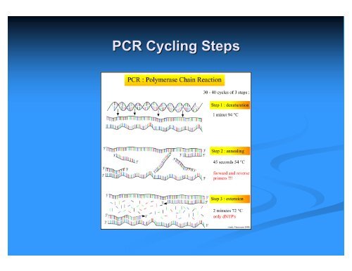 Molecular Approach to Identify Source of Fecal Contamination EPA ...