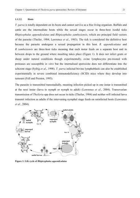 In vitro quantitation of Theileria parva sporozoites for use - TropMed ...