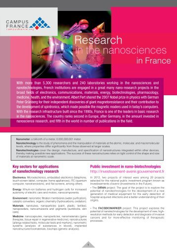 Research in the nanosciences in France