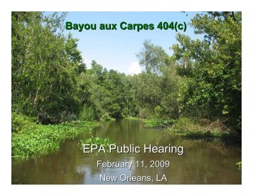 Bayou aux Carpes 404(c) - NOLA Environmental