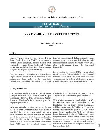 sert kabuklu meyveler / ceviz