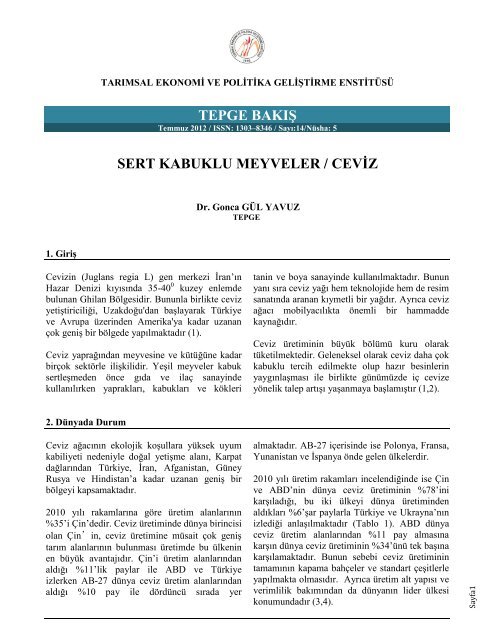 sert kabuklu meyveler / ceviz