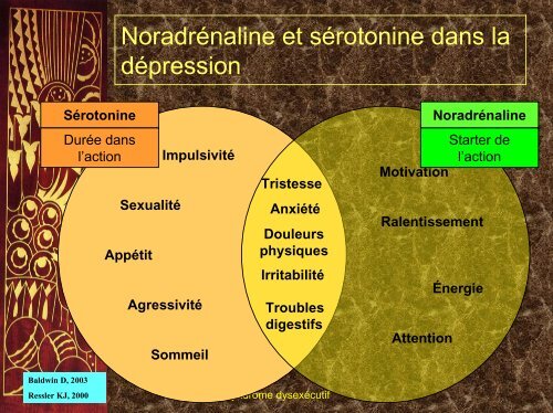 Diapositive 1 - Centre hospitalier Esquirol