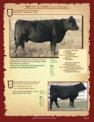 Lots 28-39 - SaskLivestock