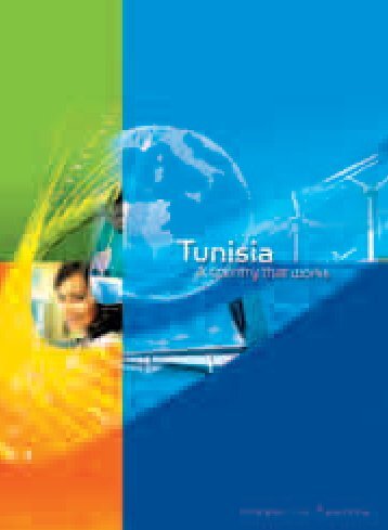 Mise en page 1 - Invest in Tunisia, The Foreign Investment ...