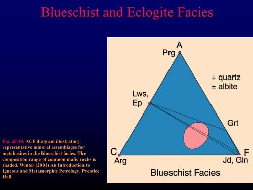 Chapter 8: Major Elements - Faculty web pages