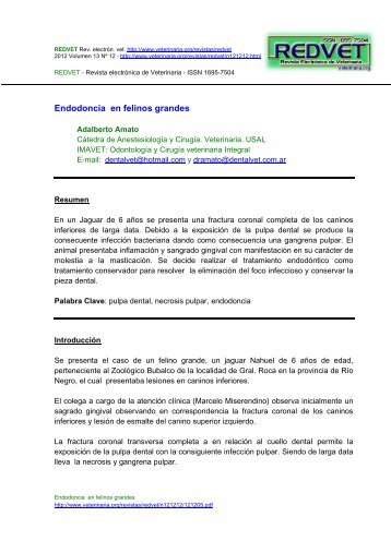 Endodoncia en felinos grandes - Veterinaria.org