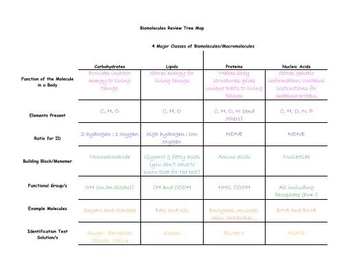 Amoeba Sisters Video Recap Biomolecules Chart