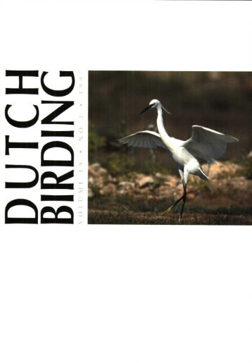 1997-2 - Dutch Birding