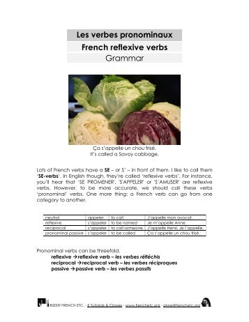 grammar premium's worksheet on reflexive verbs - French Etc